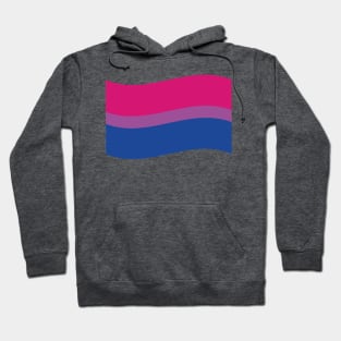 Bi pride flag Hoodie